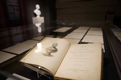 In the foreground, there is a memoir opened up to an illustrated bust of Raffles. Behind the memoir, many handwritten letters are laid out. In the background, an actual bust of Raffles can be seen.