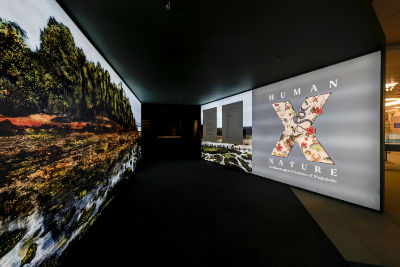A photo of the gallery entrance and logo, brightly lit as a lightbox featuring a photo of Chek Jawa.