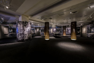 An overview of a gallery section, with old photographs wrapped around pillars. Brown cloth columns, lit up from the inside, resemble tree trunks as they decorate the section.