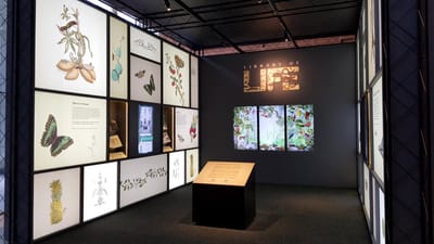 A photo of the Library of Life exhibition. A small tilted caption stand is placed in the middle. Three multimedia screens line the back wall. The left and right walls are lightboxes featuring various biodiversity illustrations, along with a showcase and multimedia screen.