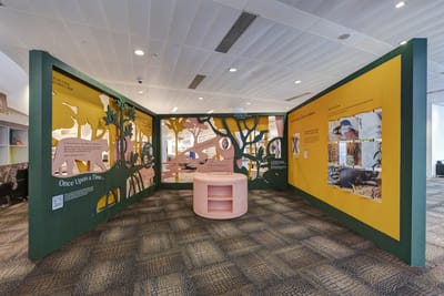 A photo of the Animal Friends exhibition, with bright yellow and deep green walls decorated with animal and tree silhouettes. Captions adorn the walls, and interactive flip cards are on the right.