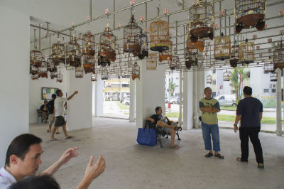 Passers-by look up at rows of bird cages hanging from a void deck at Clementi.