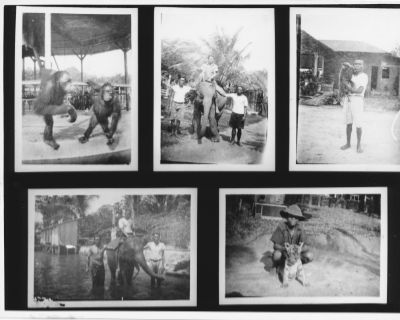 A collage of five black and white photographs of zoo staff tending to the animals of Punggol Zoo. These include orangutans, a young elephant, and a baby tiger.